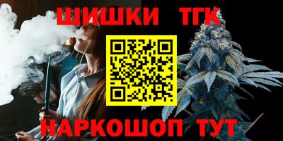 spice Гатчина