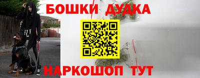 spice Гатчина