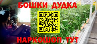 spice Гатчина
