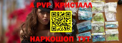 spice Гатчина